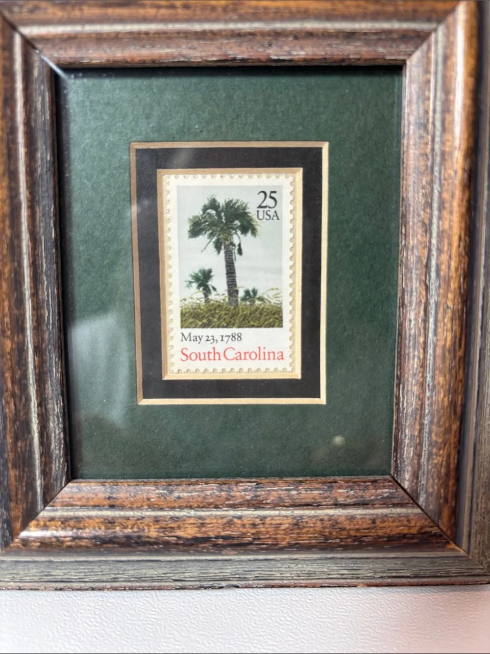 Framed South Carolina Stamp Wall Accent in Green and Brown